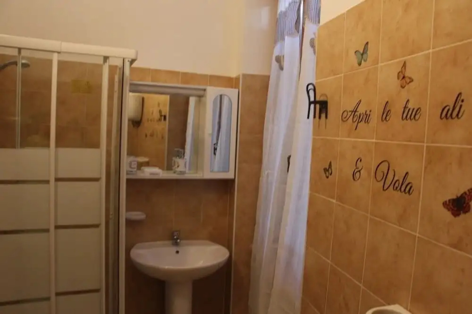 Sul sentiero di Francesco