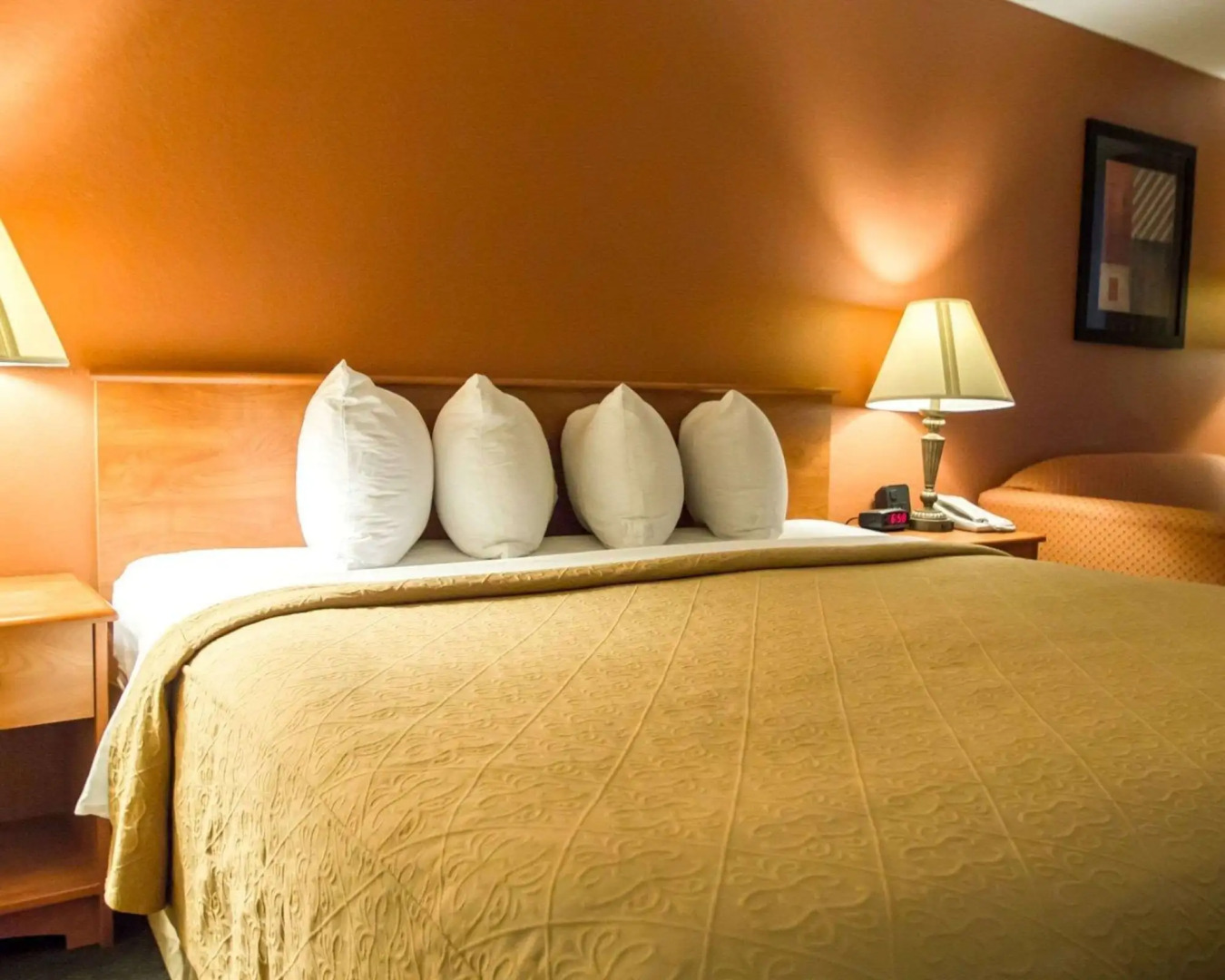 Quality Inn Kennedy Space Center