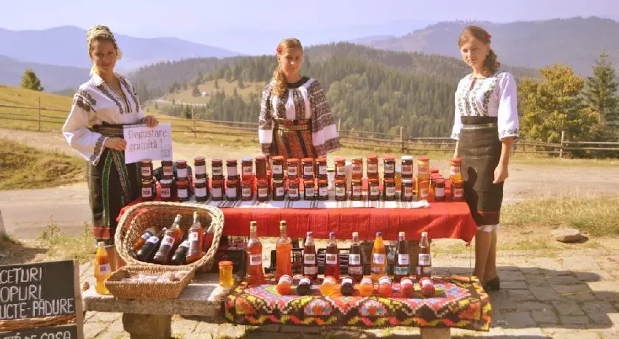 Pensiunea Agroturistica Casa Coliniţa