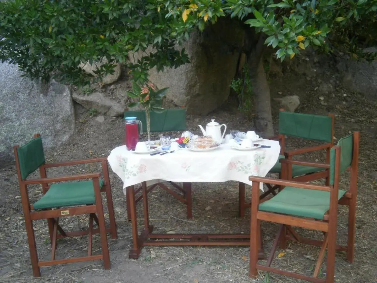 Bed & Breakfast La Collina Dei Ciliegi