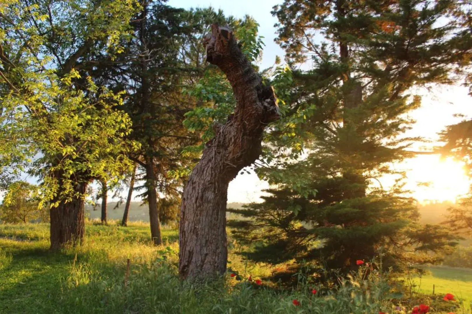 Villa Mirella Country House