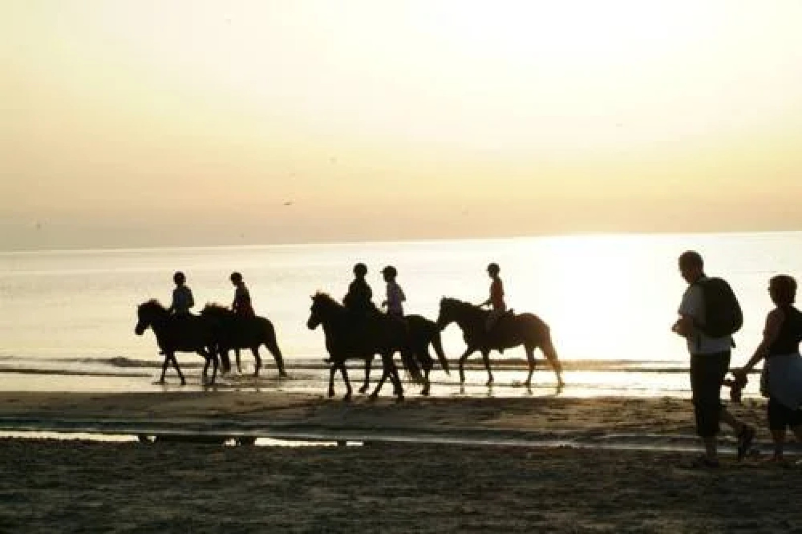 Stald Nordkap Farm Holiday