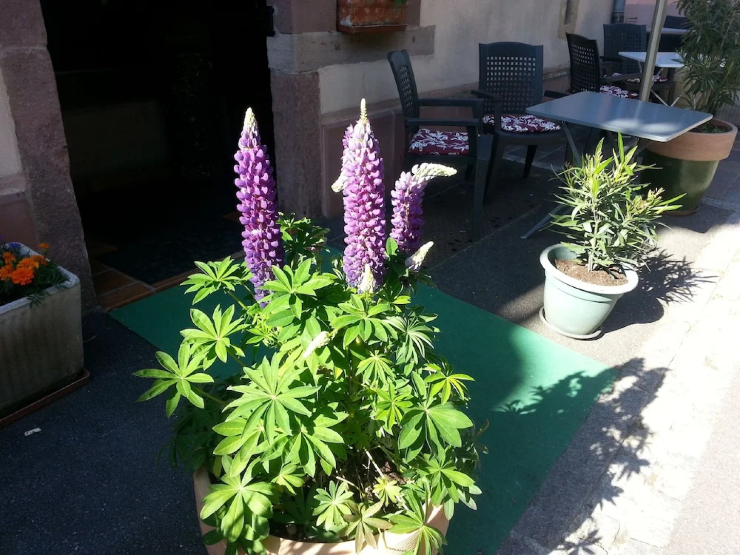 Hôtel Berceau du Vigneron