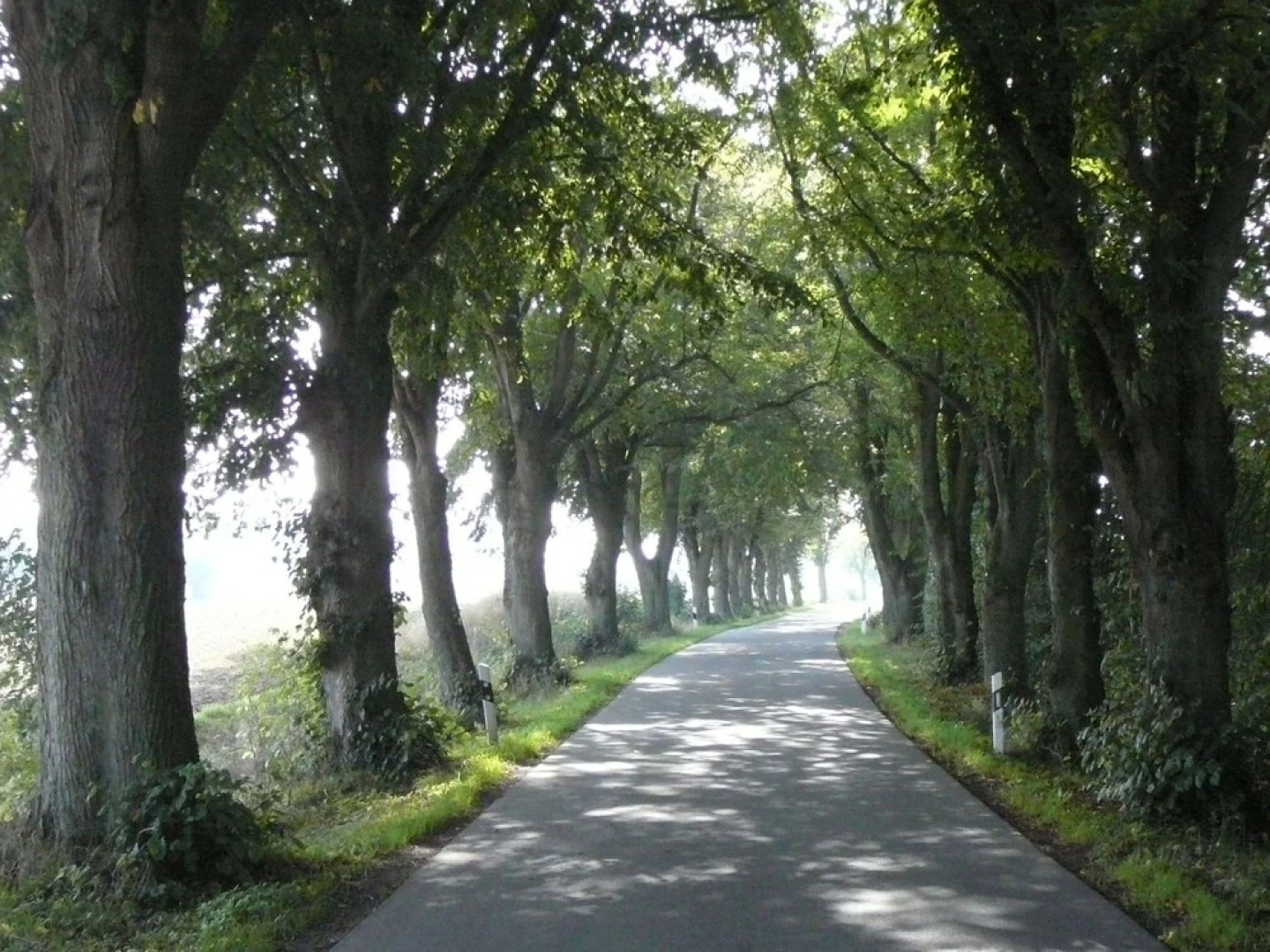 Beautiful Mansion Near Lake in Warnow
