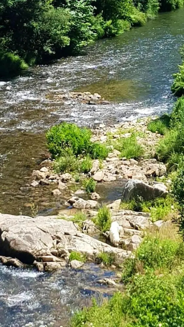 Chalet With one Bedroom in Branca - Albergaria-a-velha, With Shared Pool and Wifi