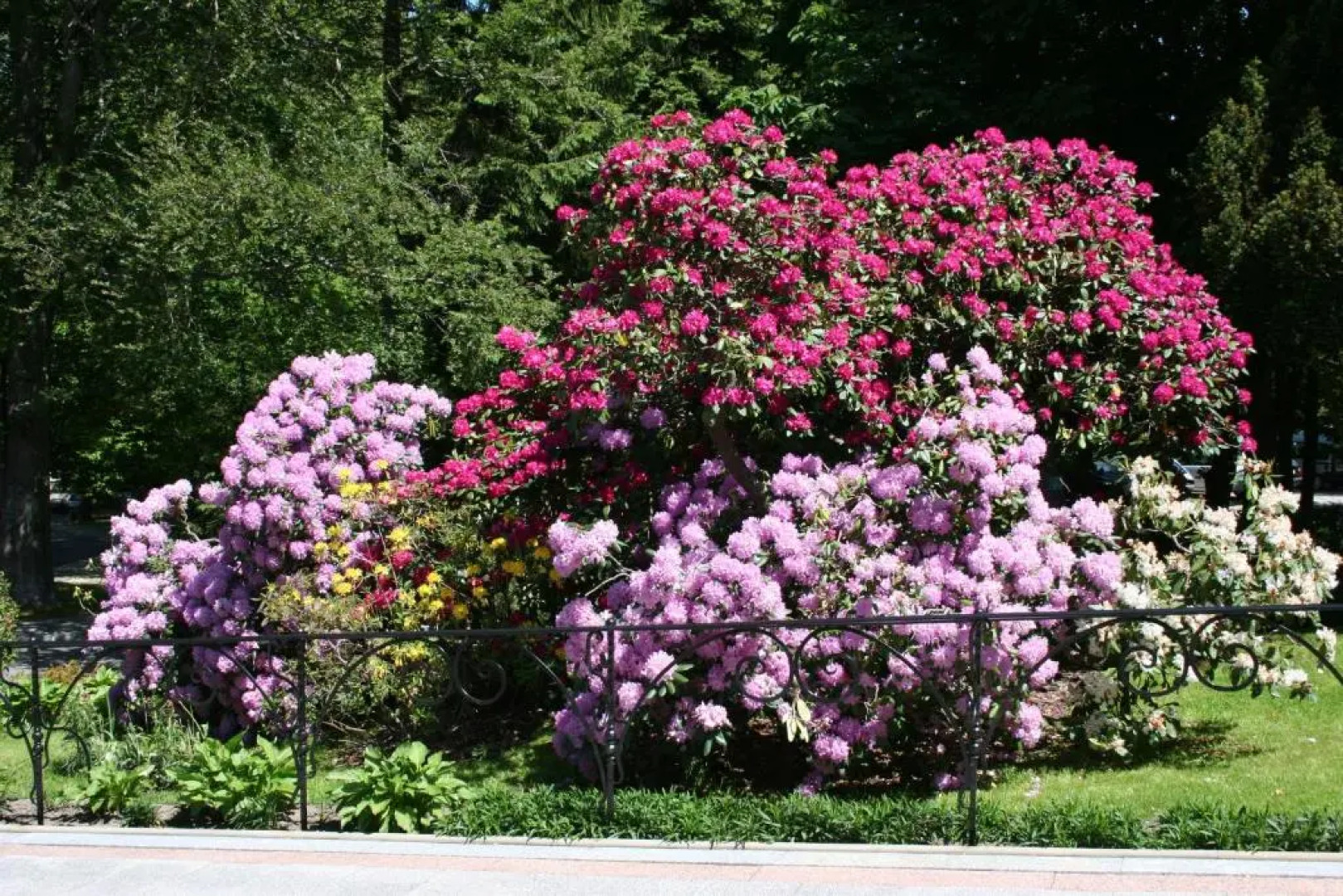 Park Hotel **** Kur & Spa