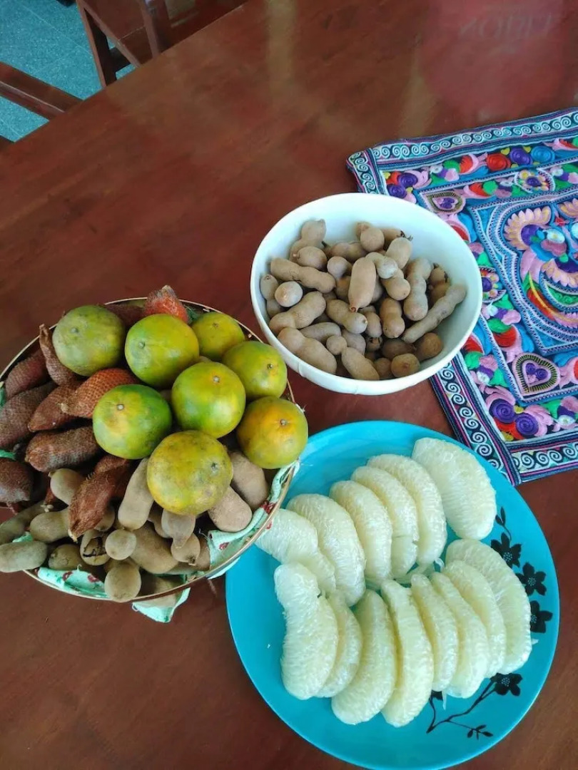 Flora Land Resort Chiang Mai