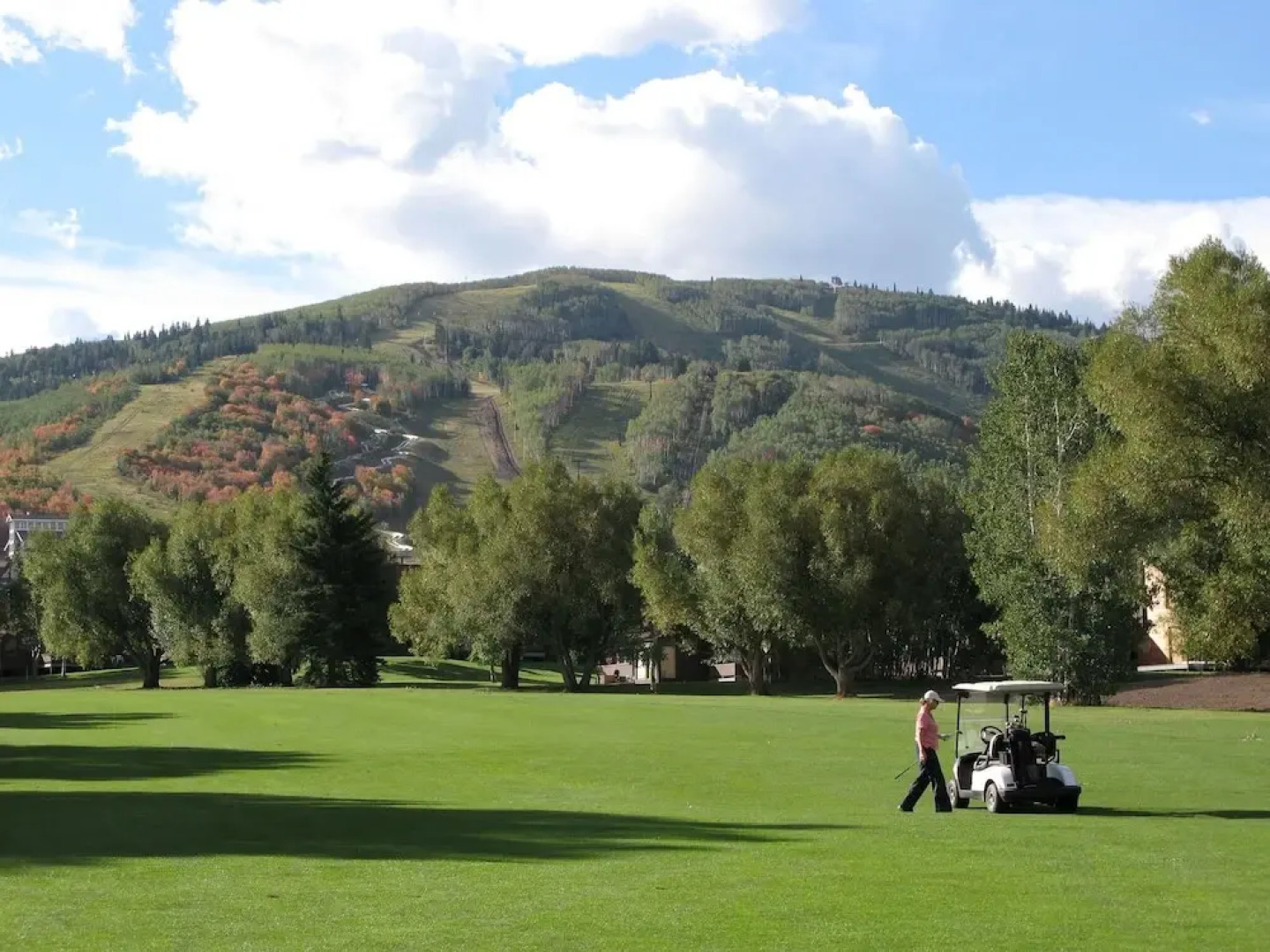 Pay Day by Identity Properties