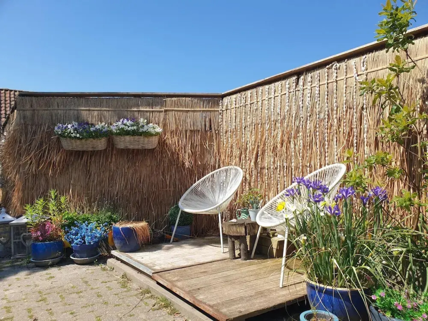 Guesthouse Friesland Ternaard Near Heritage
