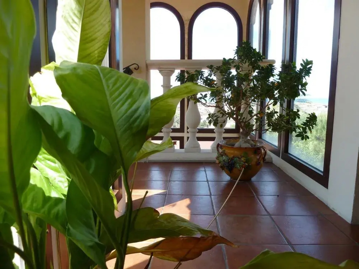 Hotel Villa Calliope