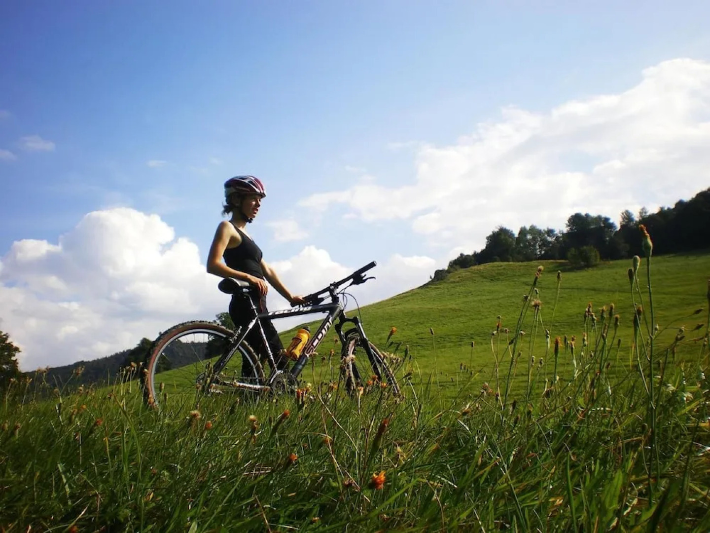 Sonnebergbaude Waltersdorf