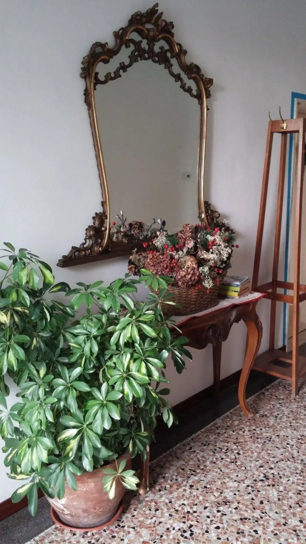 Venice Treviso Airport Bed