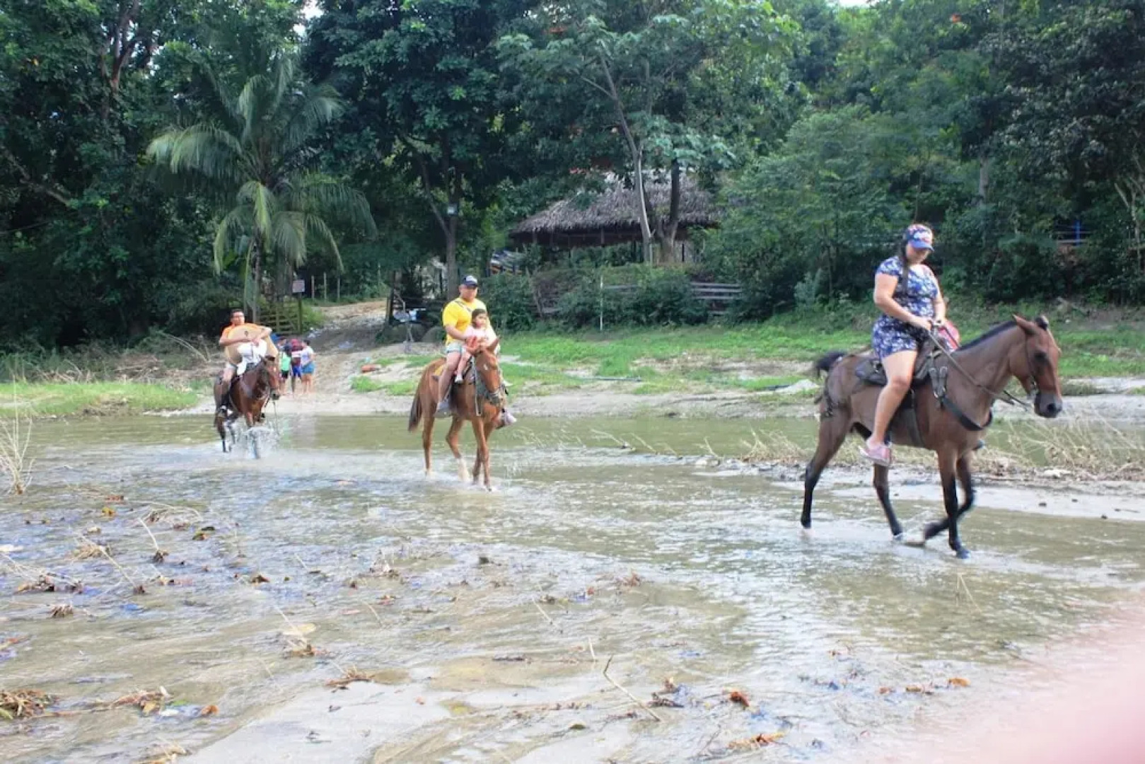Cabañas Ecoturisticas y Club Gaira Tayrona