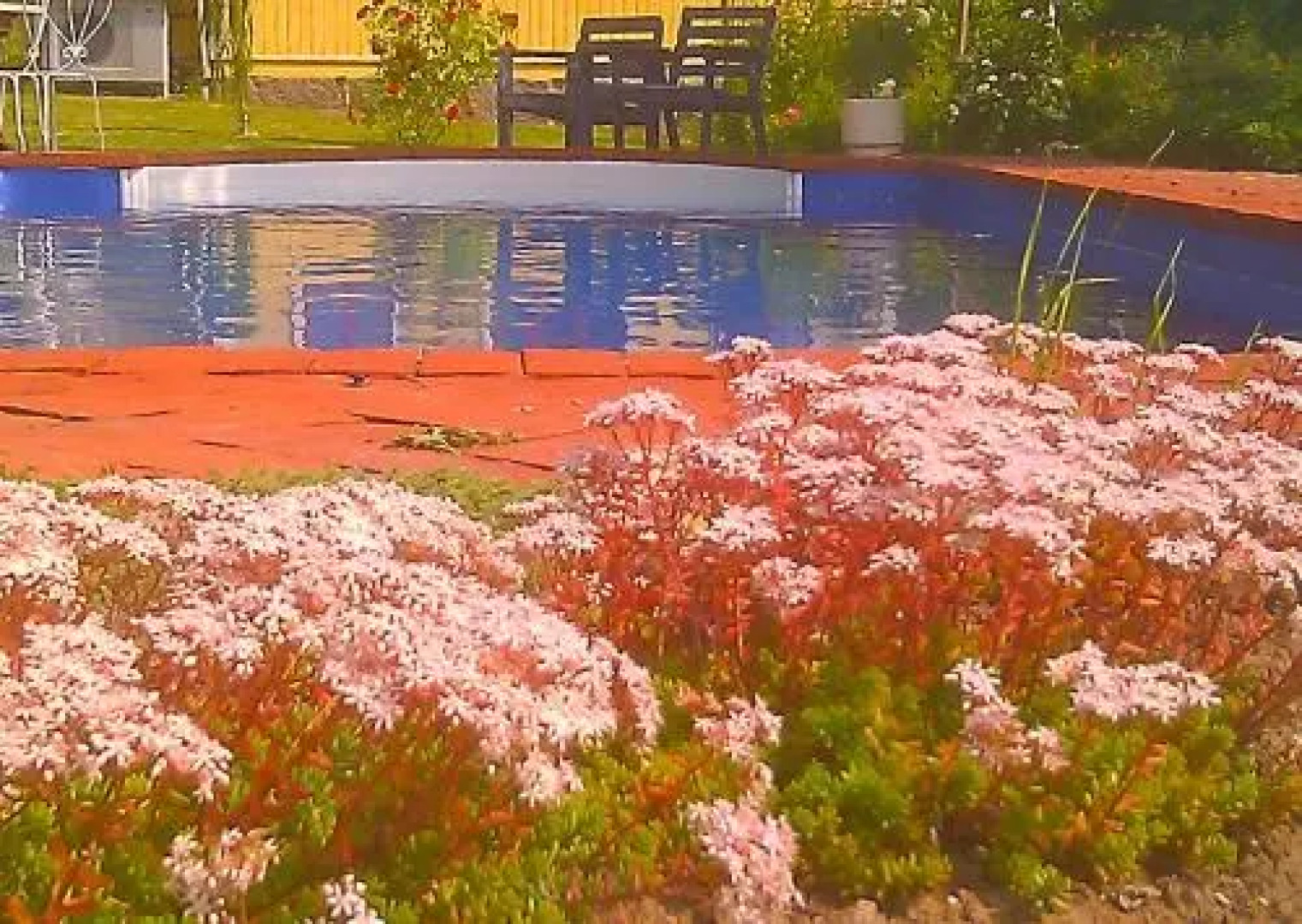 Boråkra Bed & Breakfast