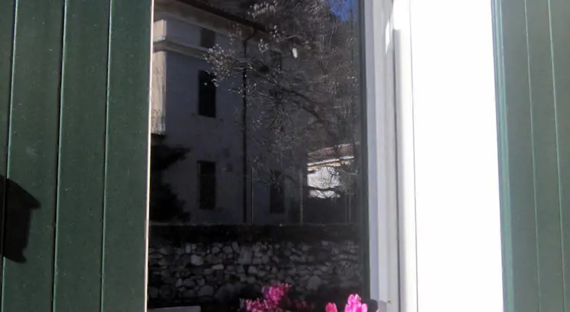 B&B la Tana della Felicità