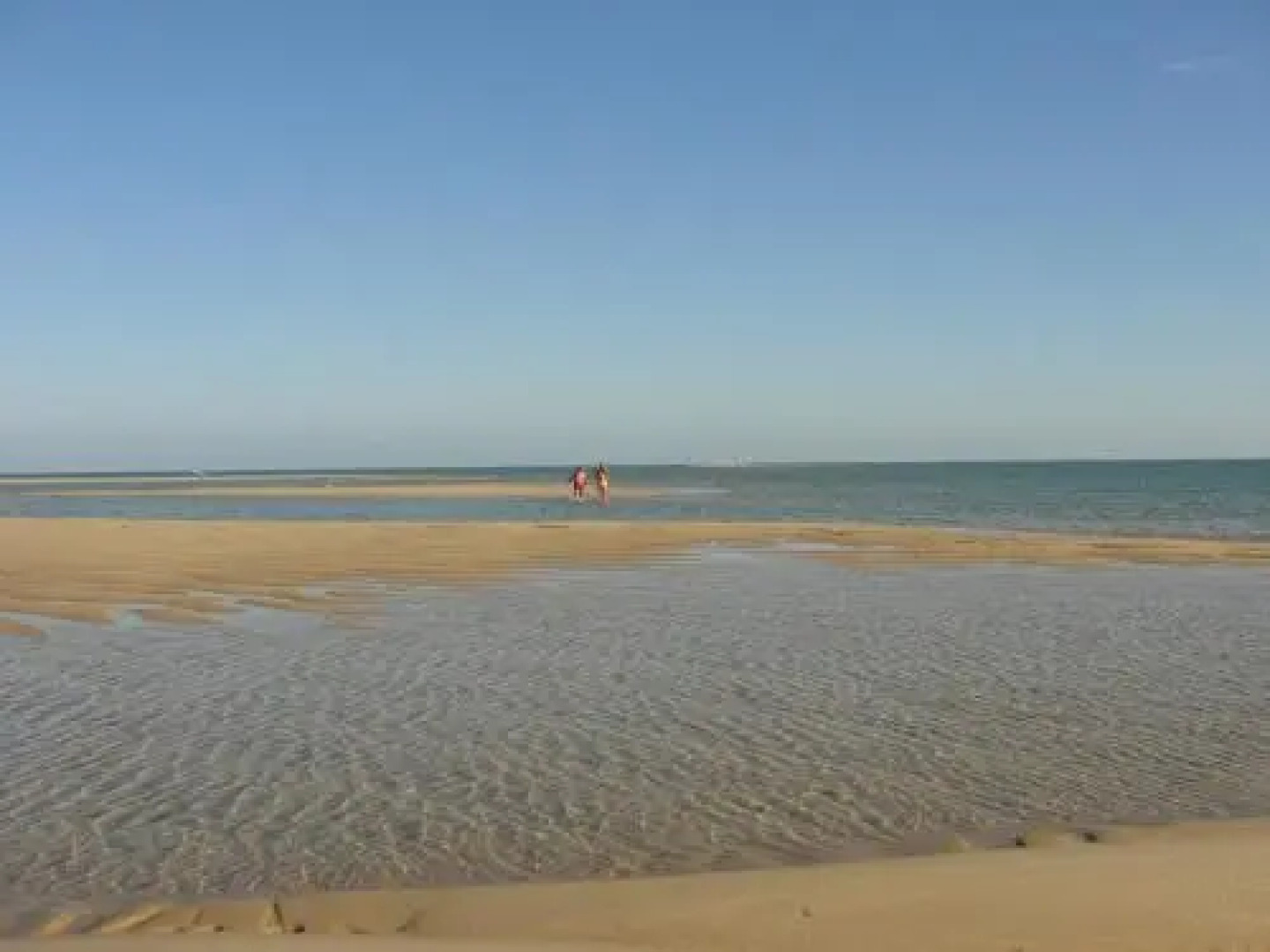 Lovely new House W/ Beatiful Garden