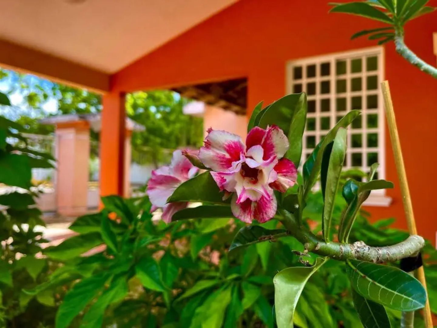 Casa hogareña con excelente ubicación en la ciudad