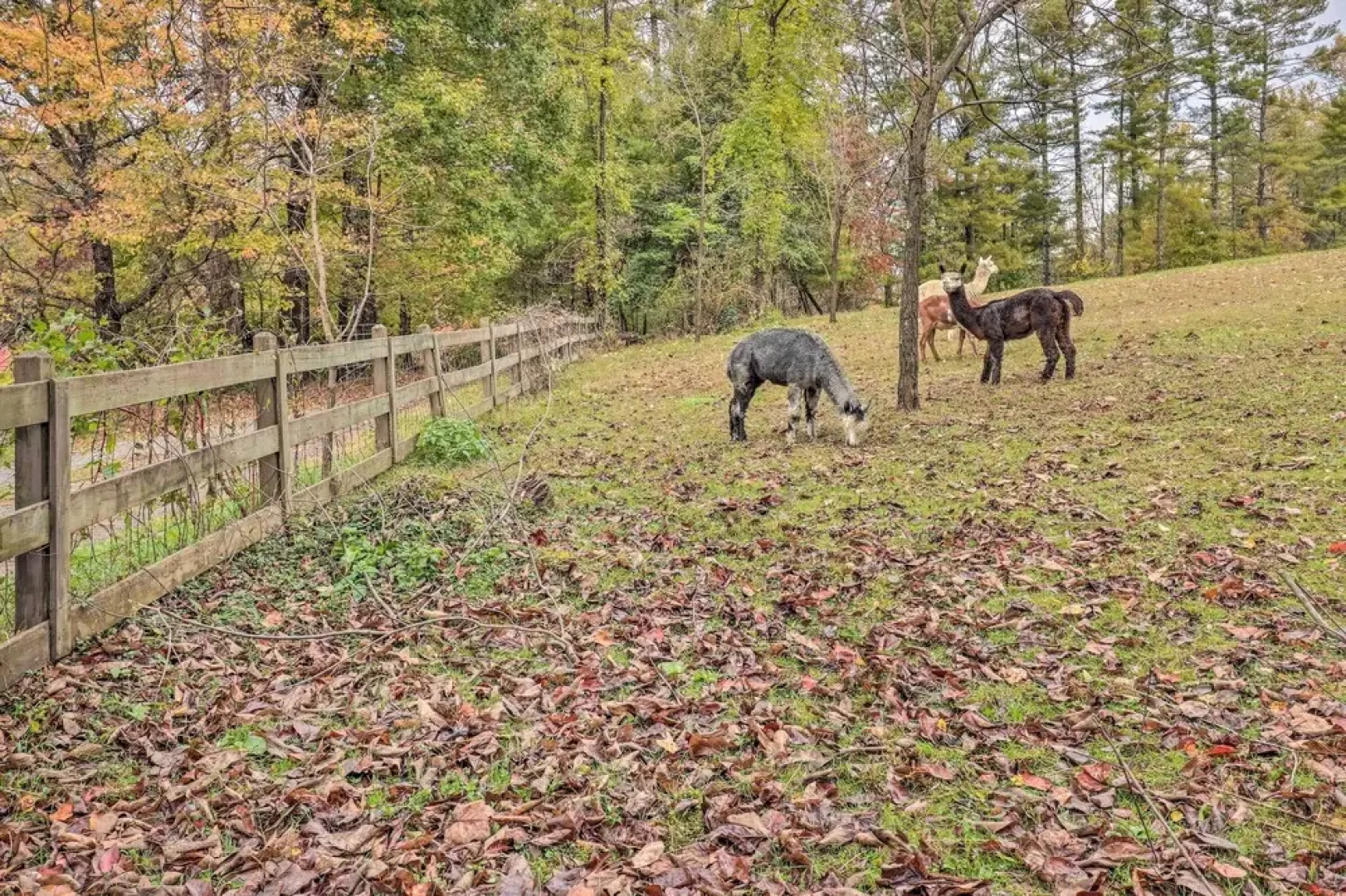Rustic Hendersonville Farm Studio w/ Private Deck