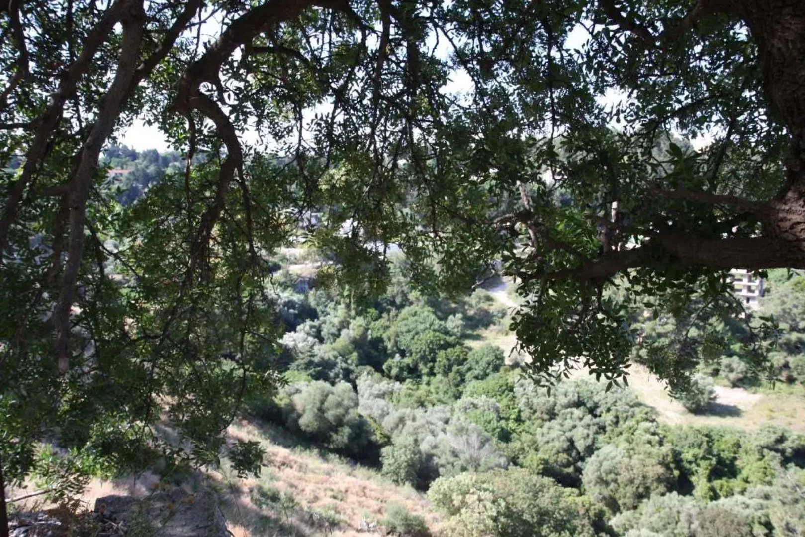 The Red Door in Koskinou