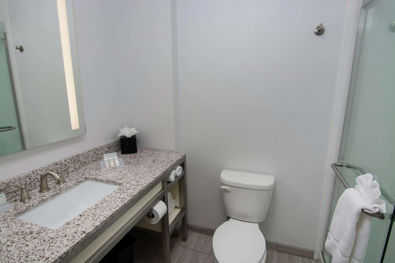 Hilton Garden Inn Tampa Suncoast Parkway