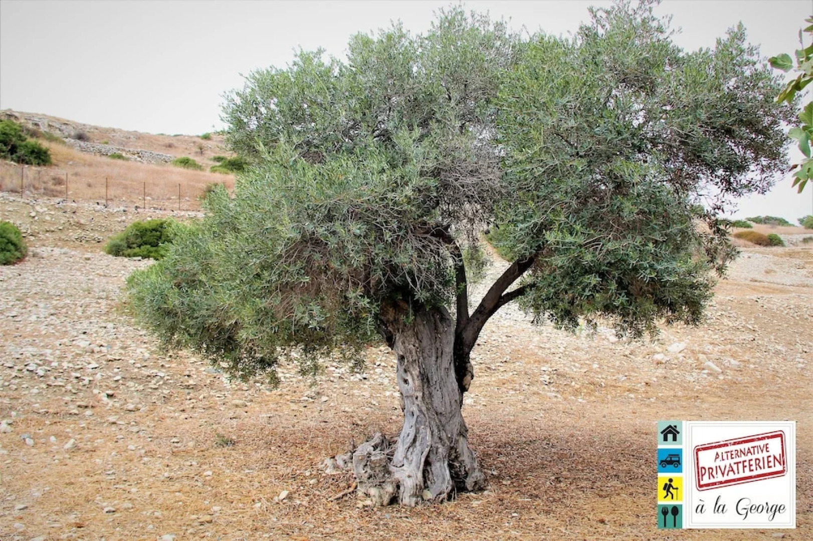 Isminis Petroktisto (Stonehouse)