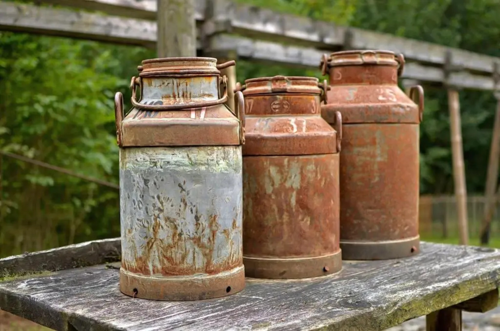 Boutique-Hotel LiebesNesterl Bergwirt