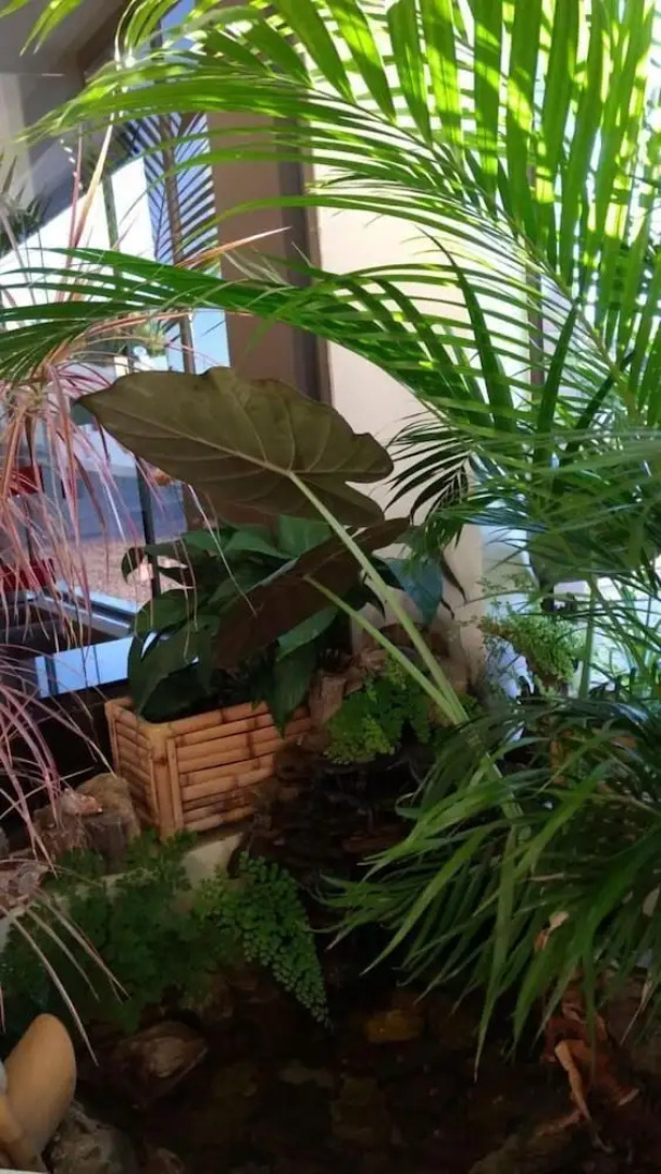 Santa Clara Hotel e Restaurante