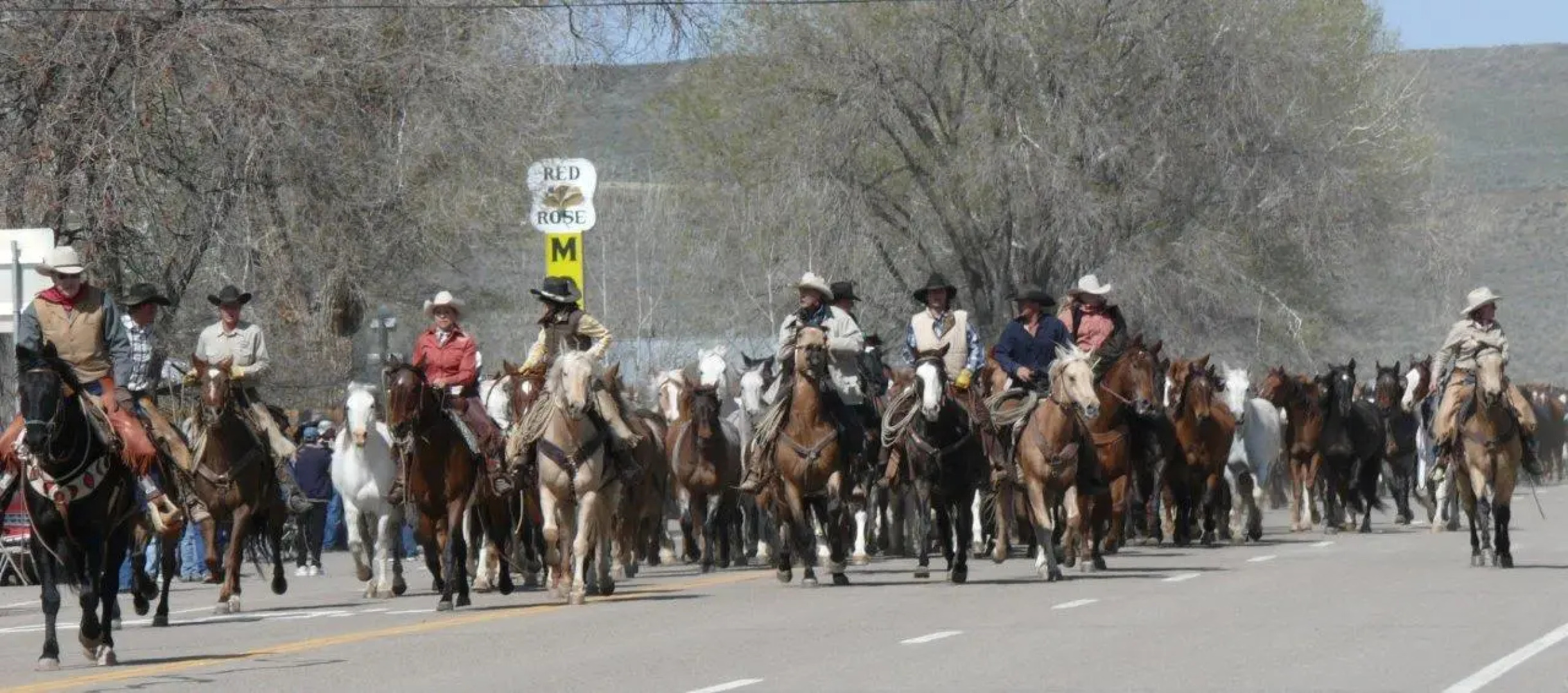 Best Western Plus Deer Park Hotel & Suites