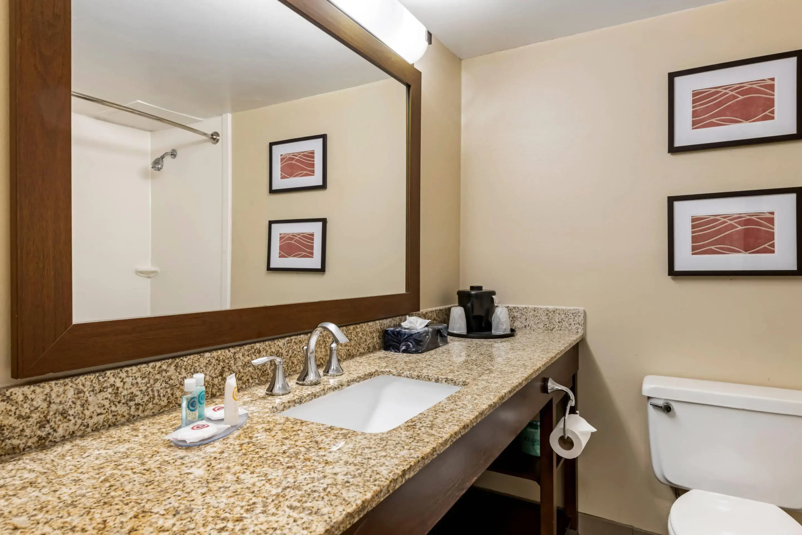 Comfort Inn MSP Airport - Mall of America