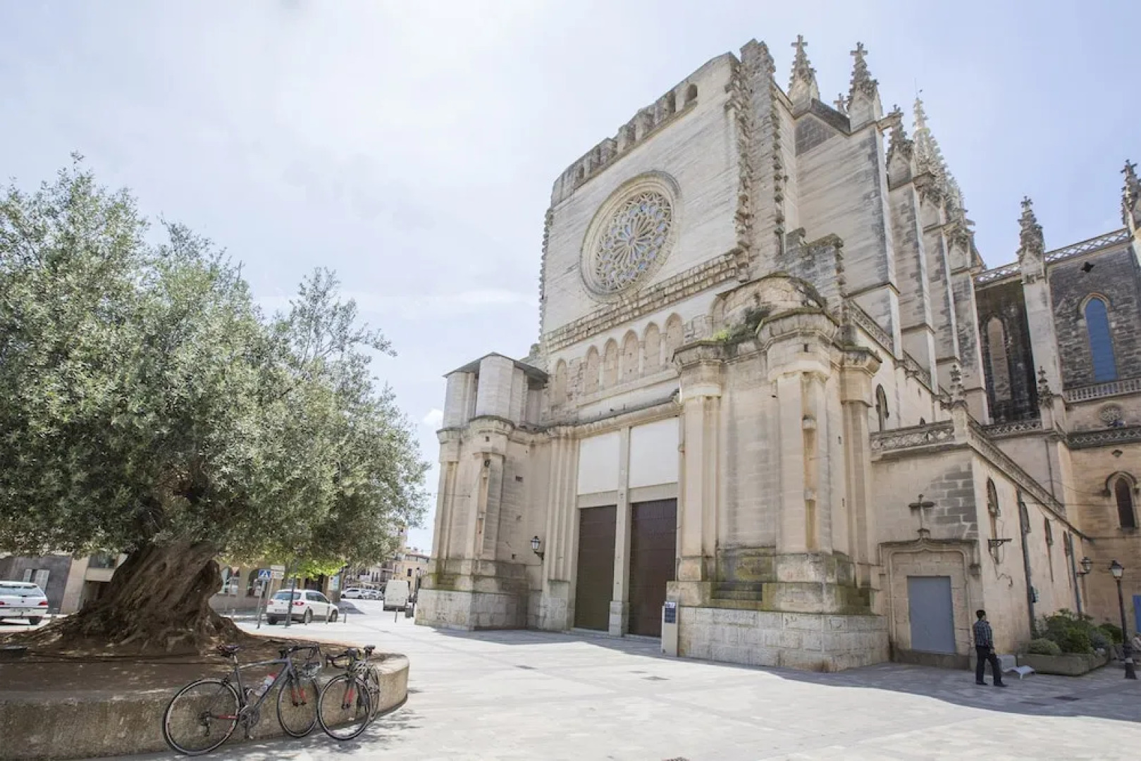 Finca Short De Conies (Baix-Paulonia)