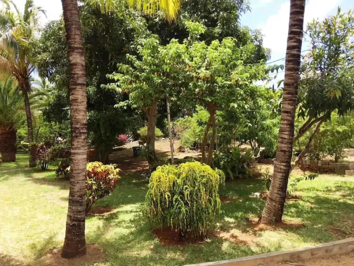 Residence With 6 Seafront Bungalows and Swimming