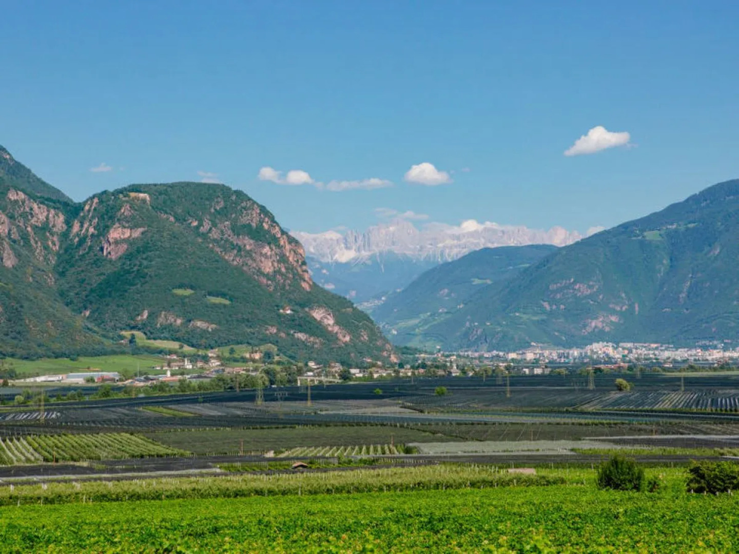 Rosengartenhof - Hocheppan