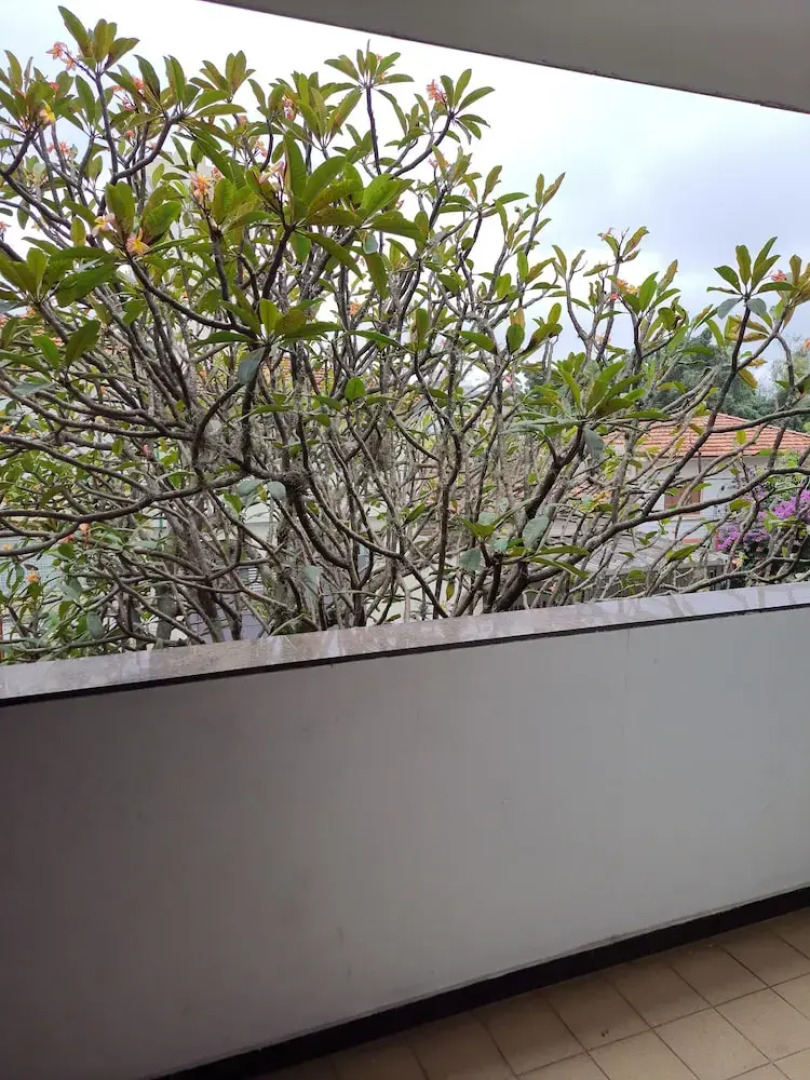 Hostel Praça da Árvore