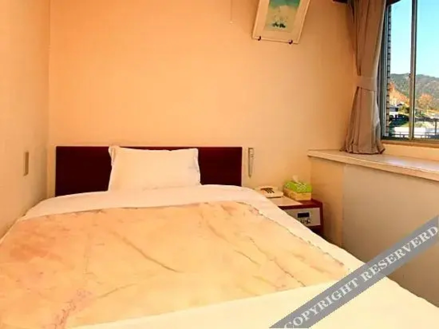 Business Hotel Kanaya