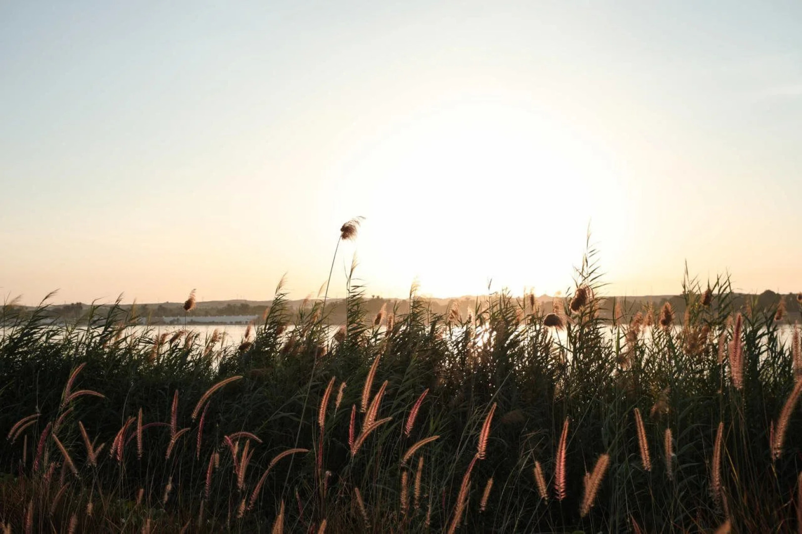 The Zen Wellness Resort