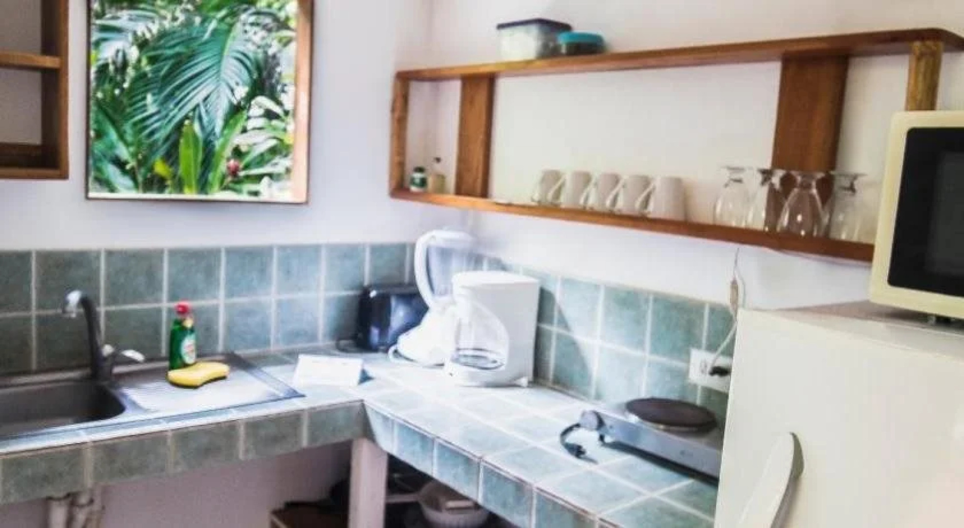 Hotel El Pequeño Gecko Verde