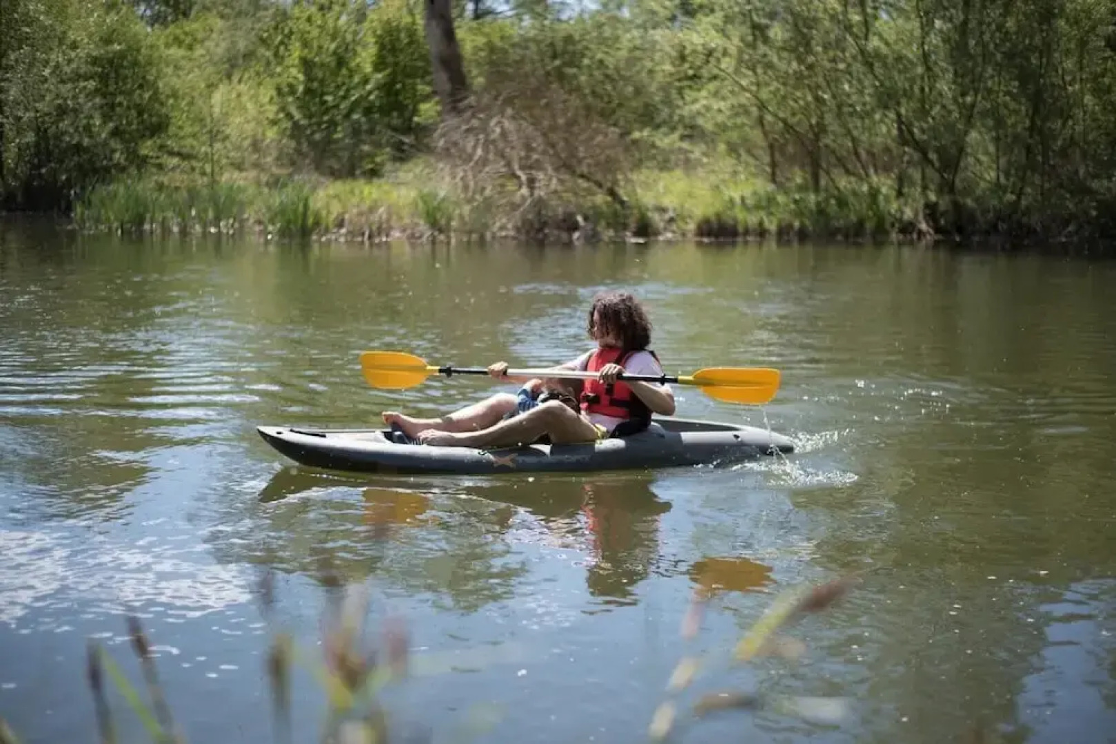 Magnolia, Kingfishers