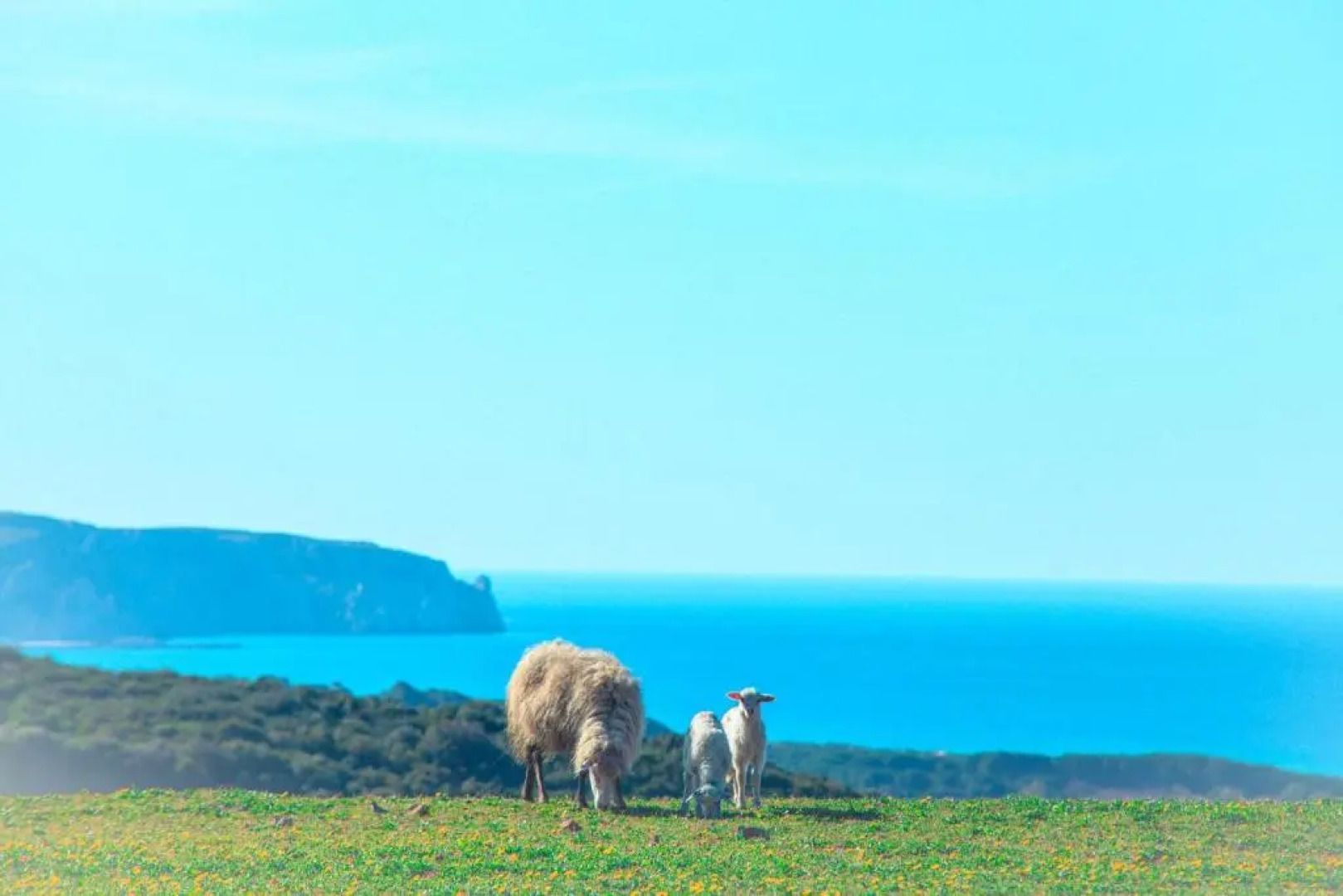 Agriturismo Il Ginepro