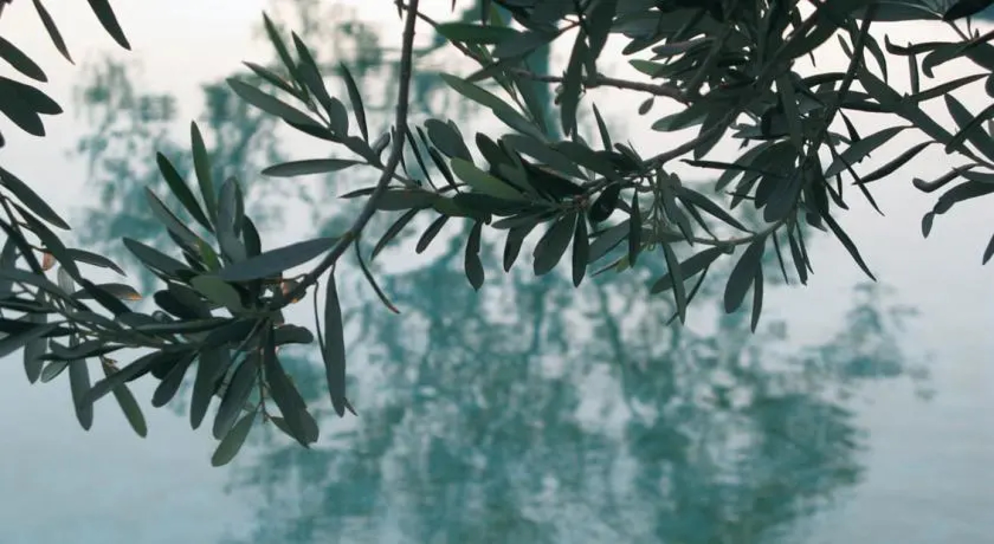 Almondville Pergamon Bungalows