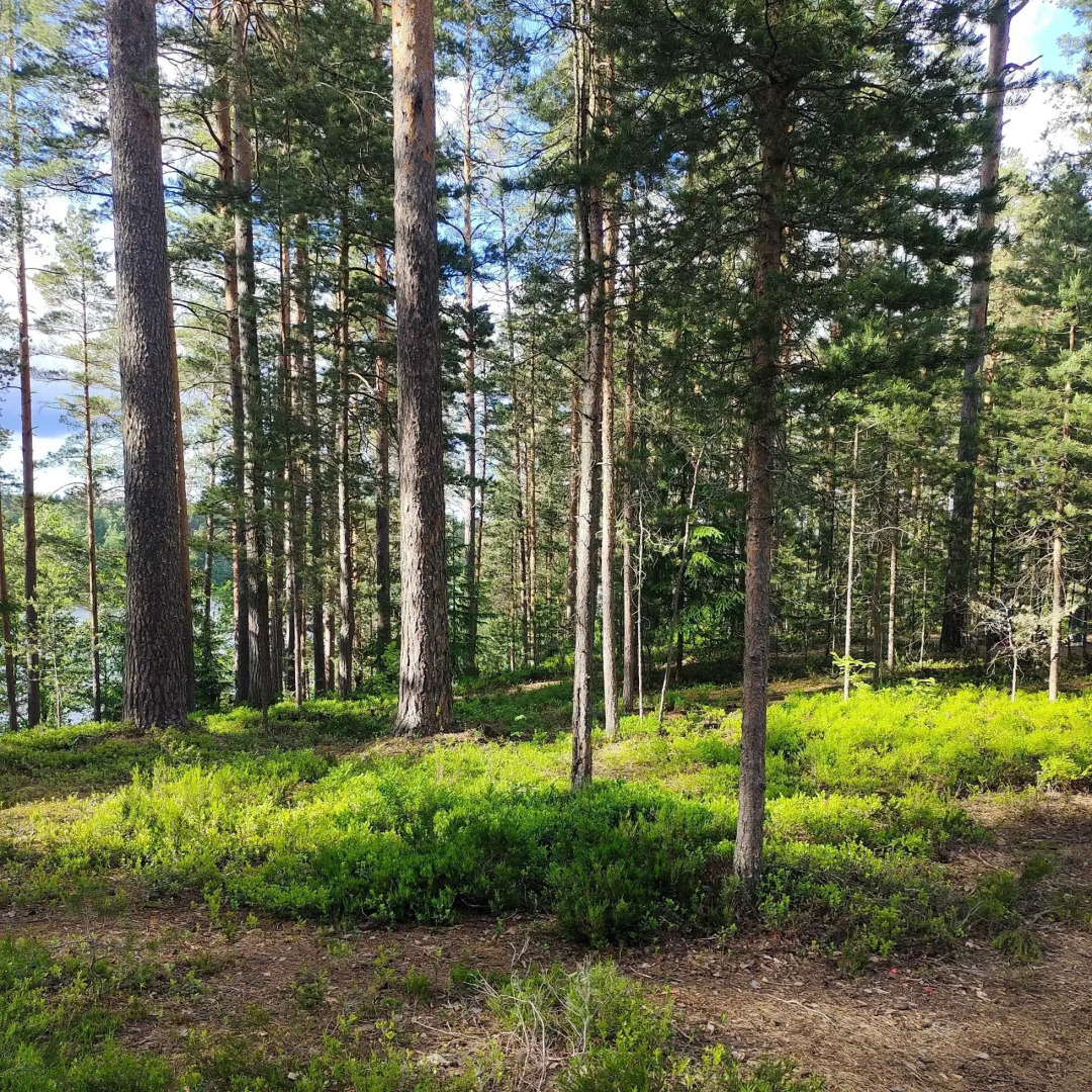 Уютный домик