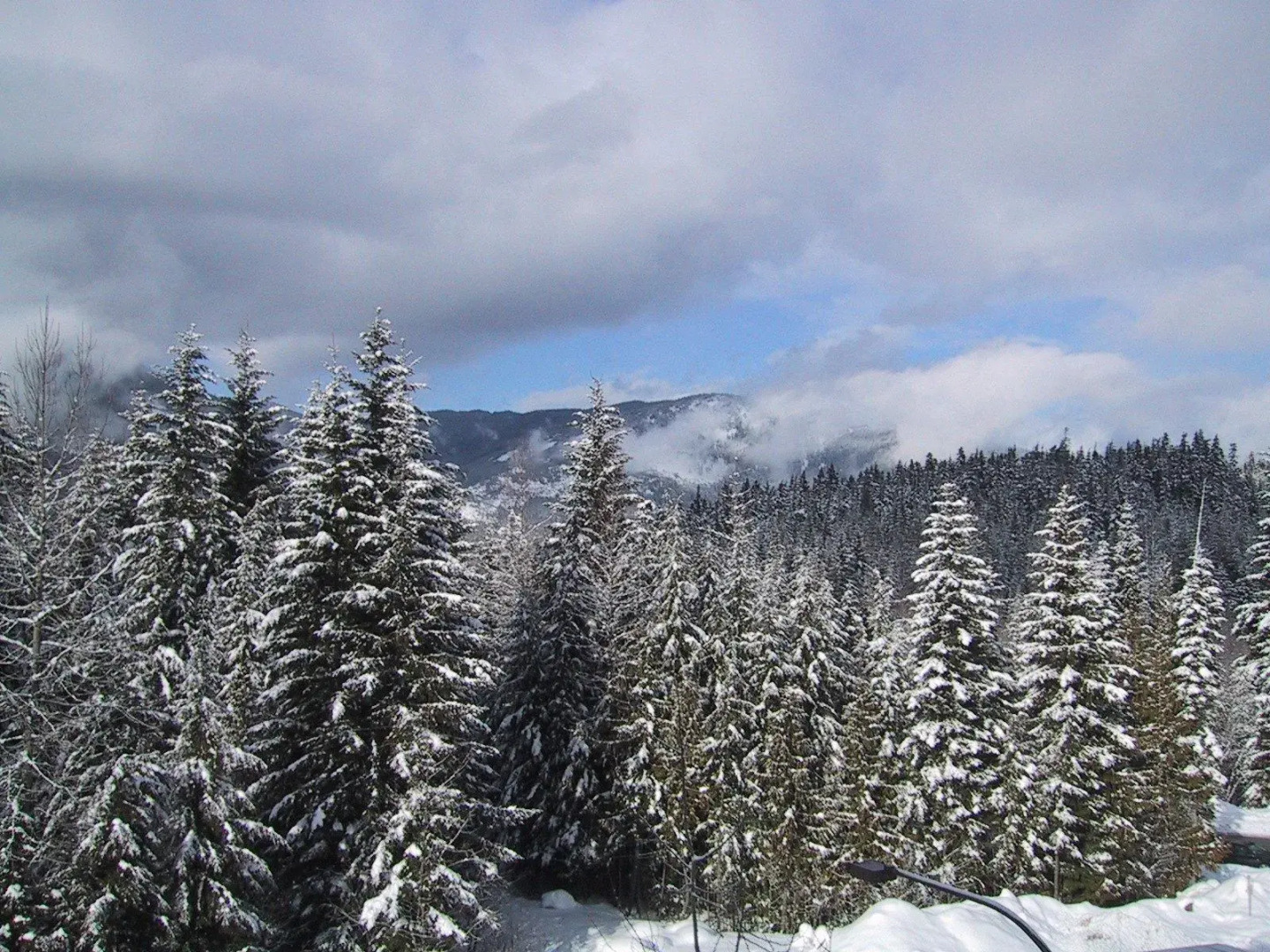 Whistler Alpine Chalet Retreat & Wellness