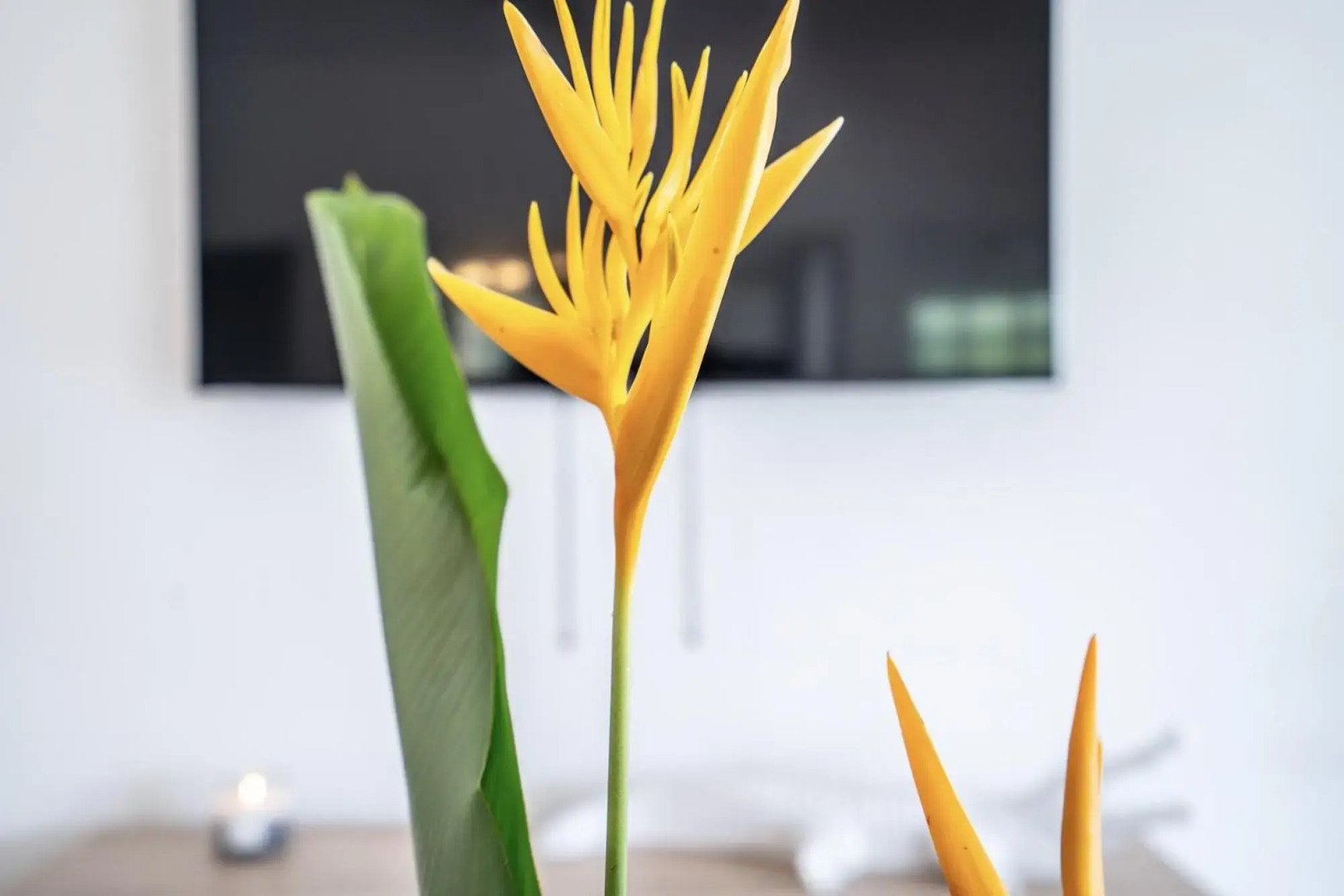 Villa Belvi 3ch, déco moderne, piscine chauffée, plage à 10min