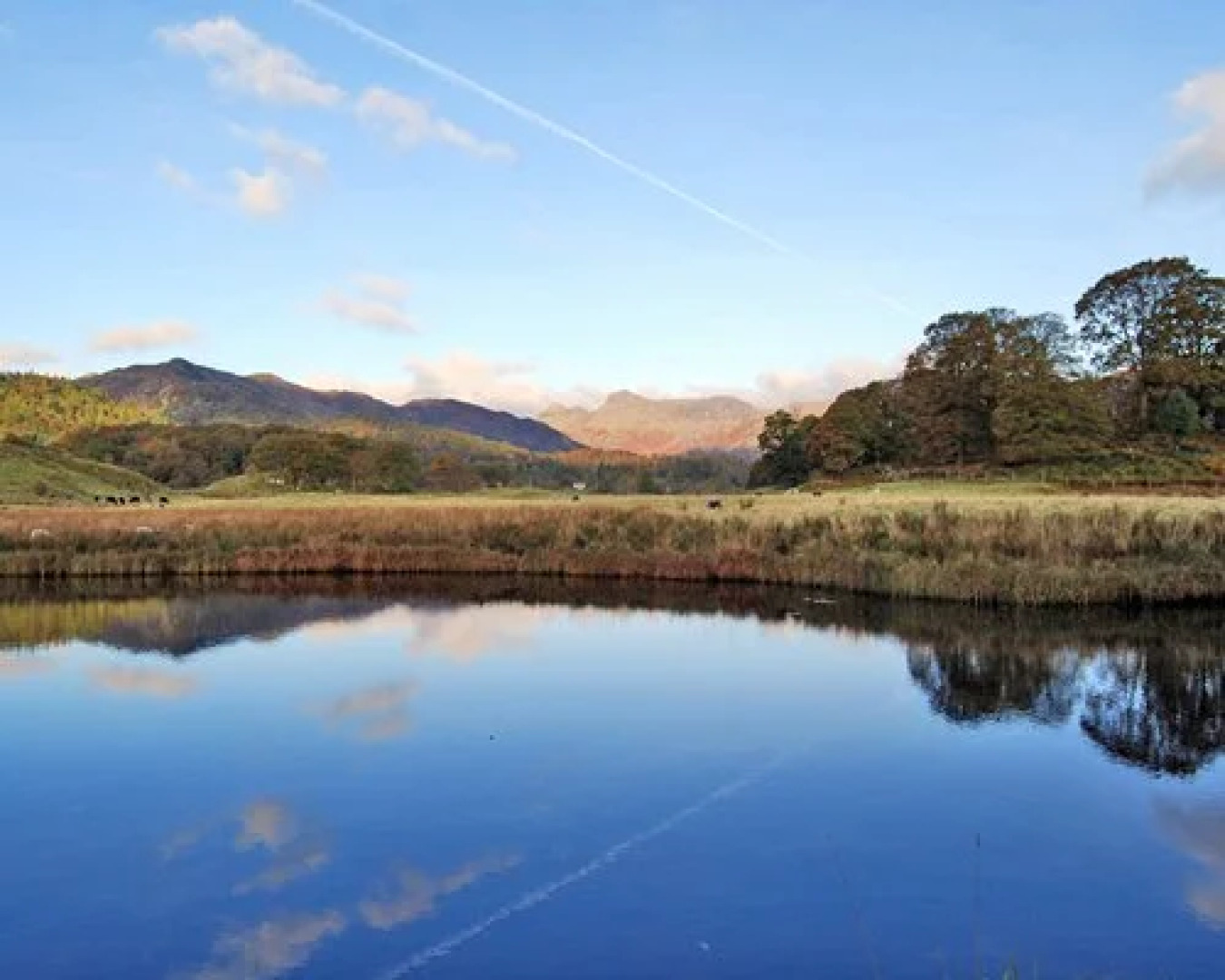 Chapel Stile Apartments At Langdale