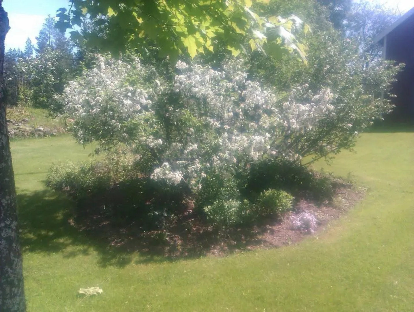 Stensholms Trädgård