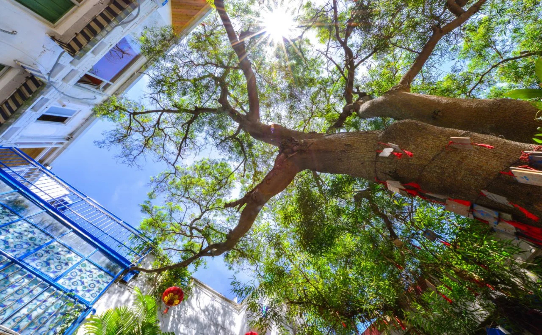 Xiamen Xiangsishu Inn