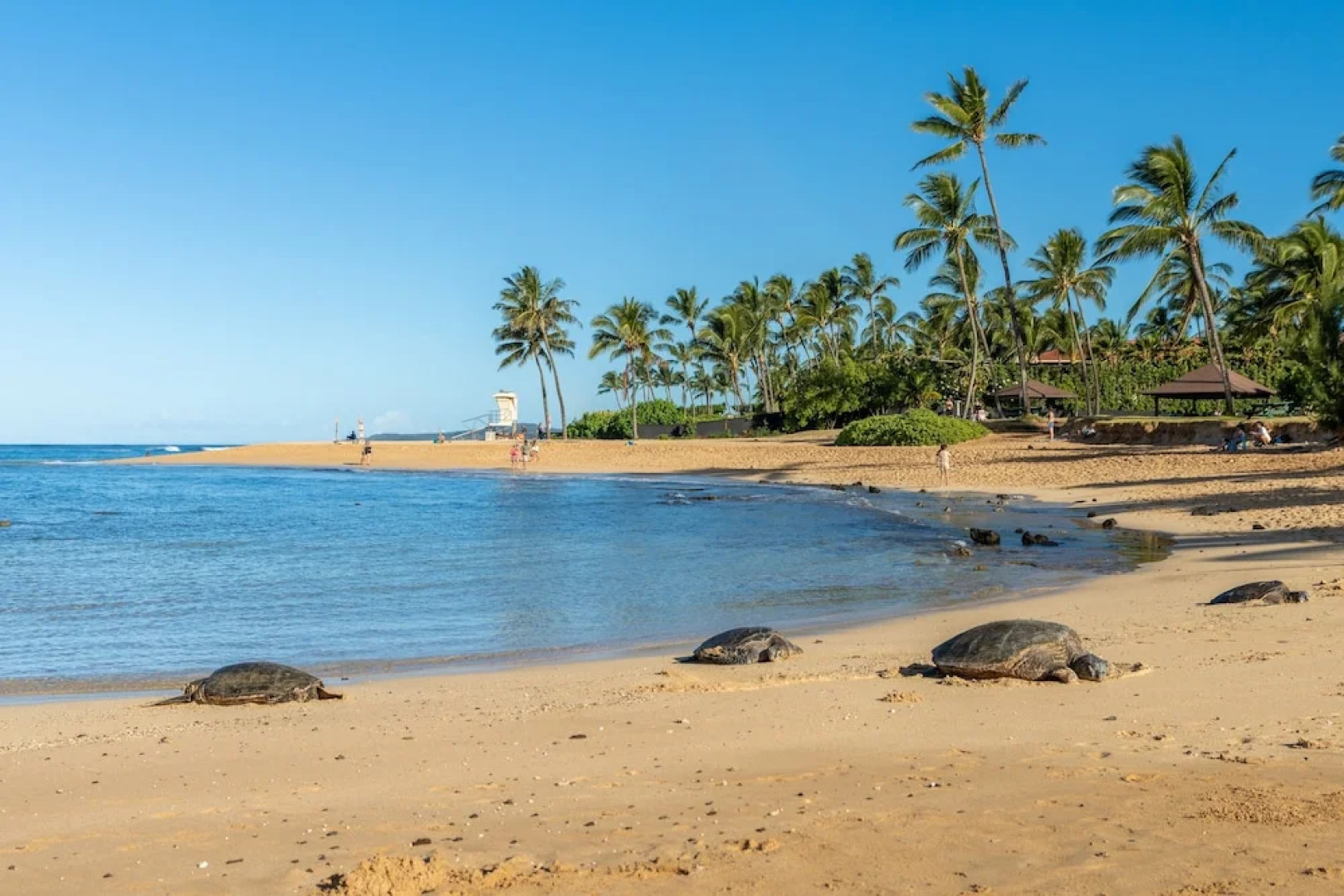 Hale Kahana'lu 2 Bedroom Condo by RedAwning