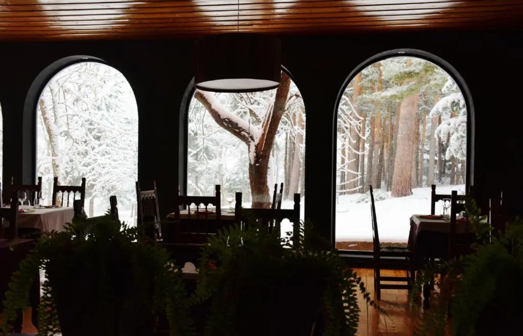 Hospedium Hostal Almanzor