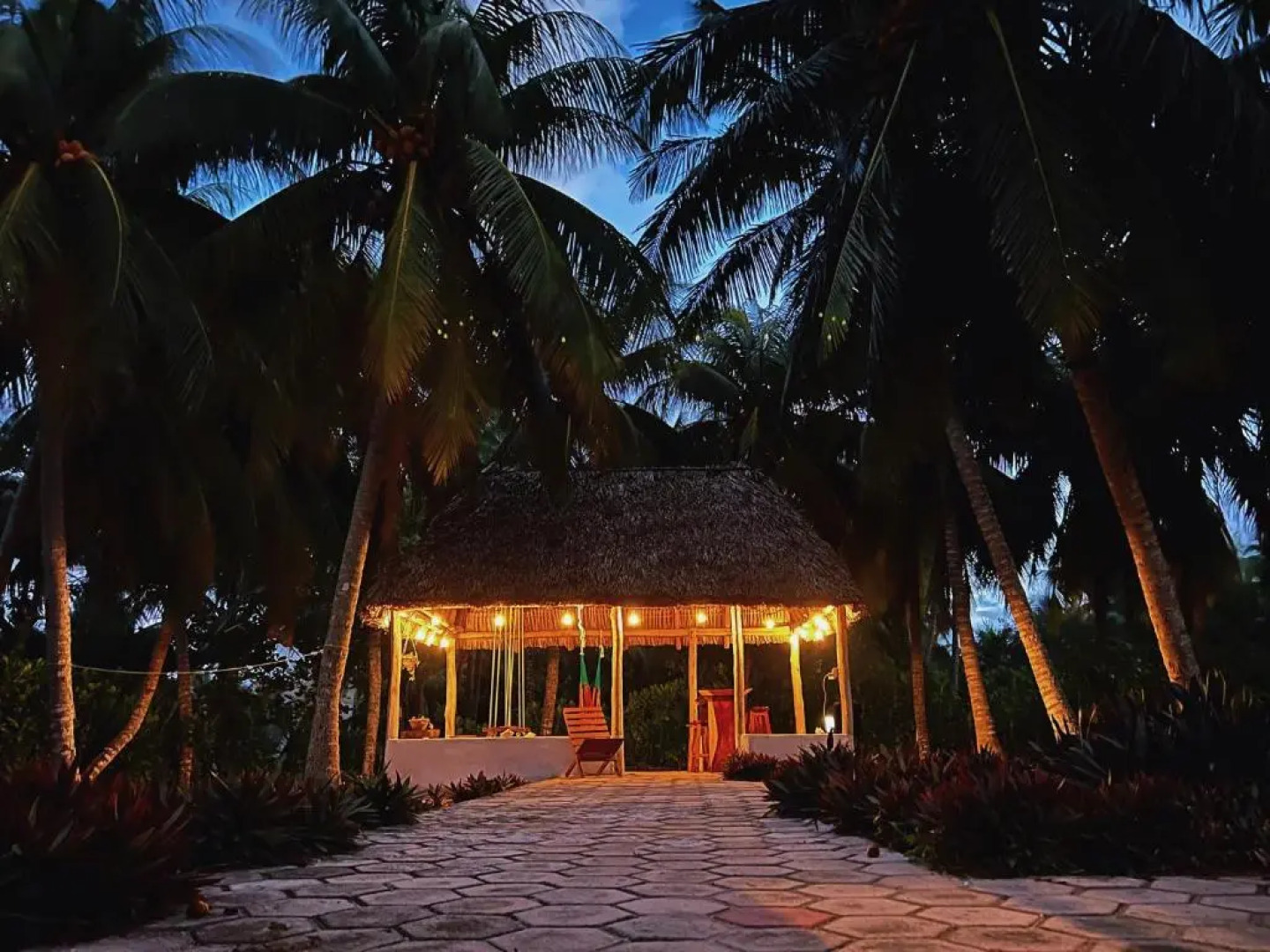 Coconut Palm House - El Cuyo