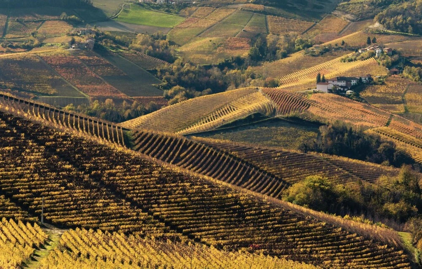 Amazing Apartment in Bossolasco With Wifi and 1 Bedrooms