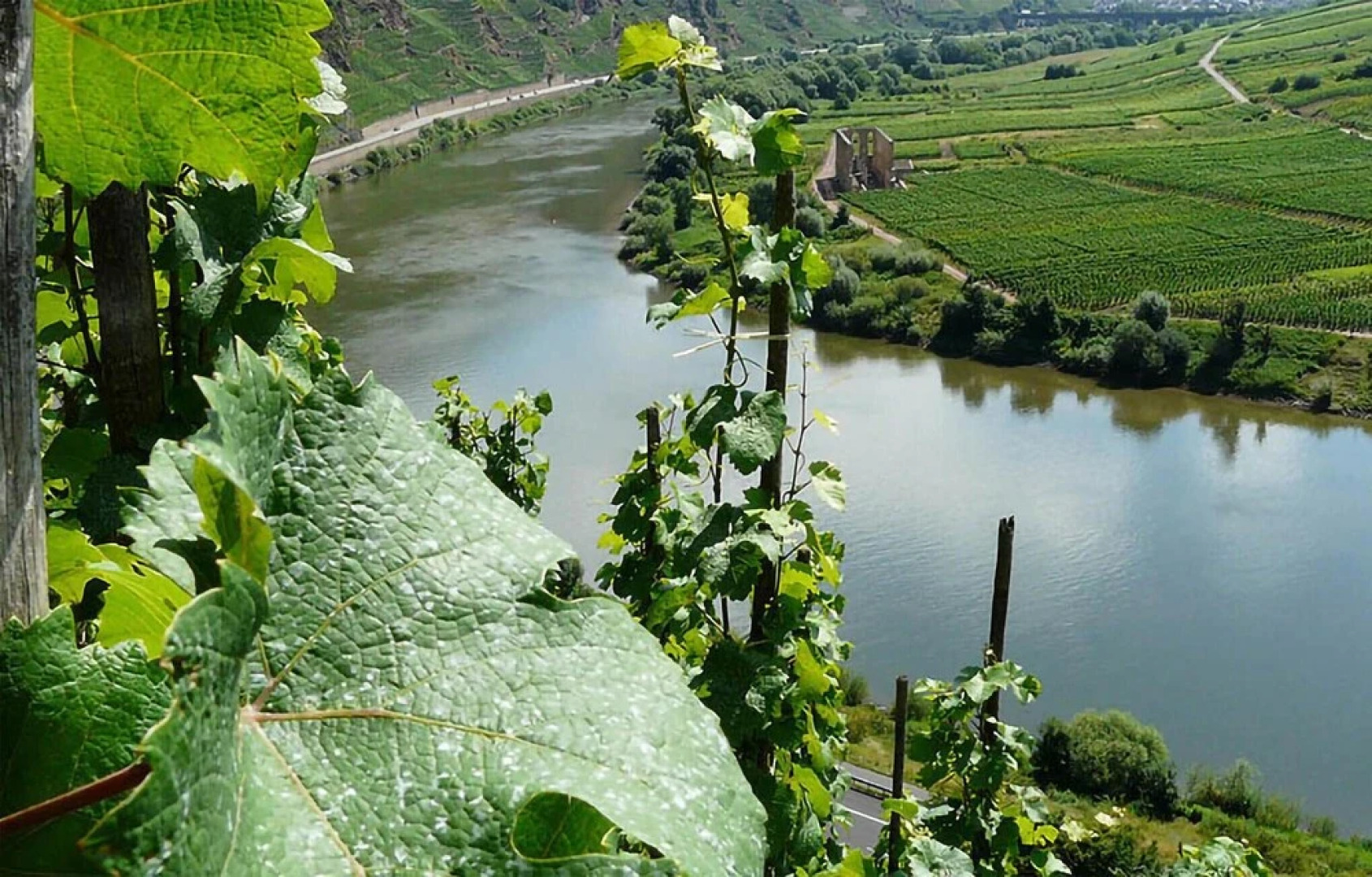 Amazing Apartment in Zell With Wifi and 1 Bedrooms